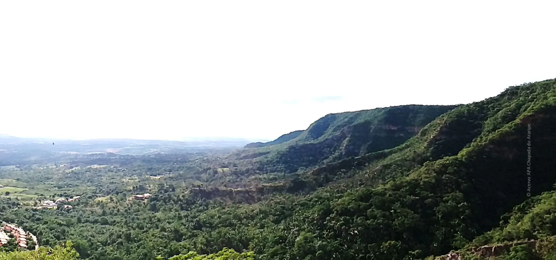 Vegetação da Chapada do Araripe sob céu aberto