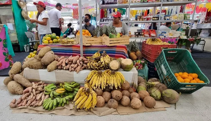 Produtos da agricultura familiar em feira nordestina